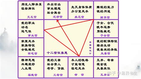 紫薇十二宫|紫微斗数命盘解读